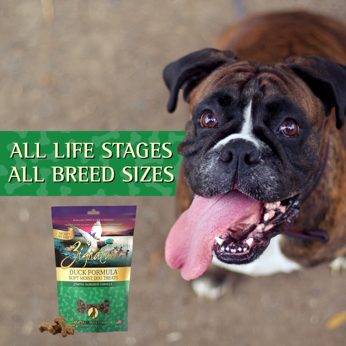 Zignature Soft Duck Treat
