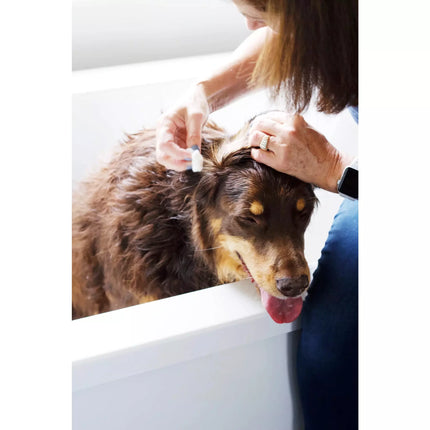 Pure + Good: Every Ear Wash (Alcohol Free) 8oz