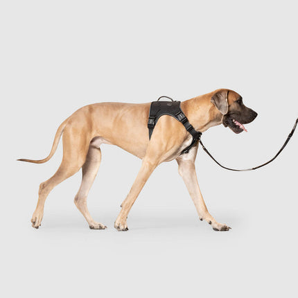 Canada Pooch Complete Control Harness - Black