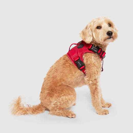 Canada Pooch Complete Control Harness - Red