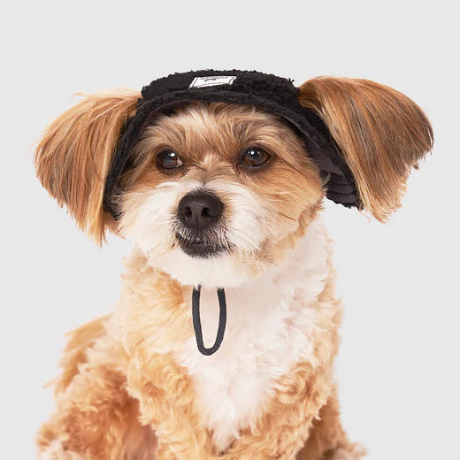 Canada Pooch Cool Factor Bucket Hat - Black