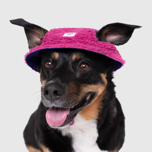Canada Pooch Cool Factor Bucket Hat - Pink Purple