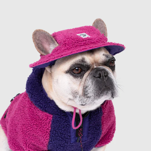 Canada Pooch Cool Factor Bucket Hat Pink Purple – Decker's Dog Cat