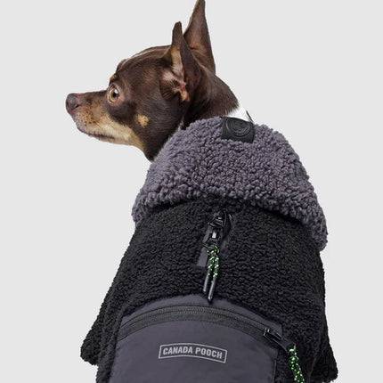 Canada Pooch Cool Factor Hoodie - Black Grey