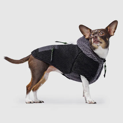 Canada Pooch Cool Factor Hoodie - Black Grey