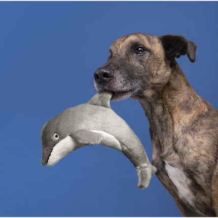 Fluff & Tuff Danny Dolphin