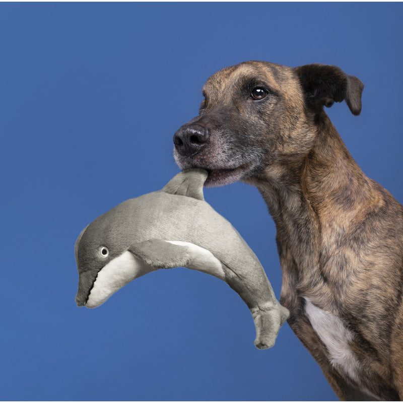 Fluff & Tuff Danny Dolphin