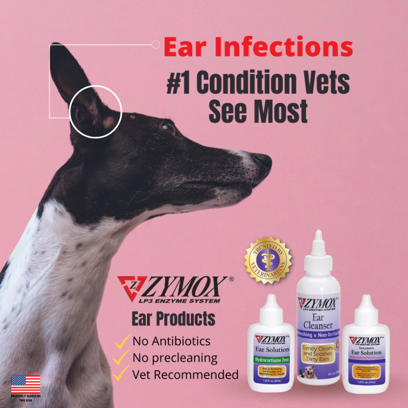 Zymox 2024 ear infection