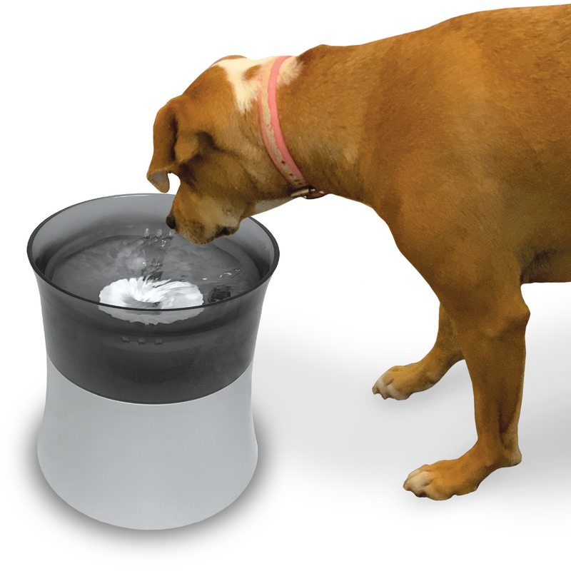 Pioneer Pet Elevated Drinking Fountain Vortex Fountain 128oz Decker's