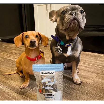 Icelandic Dog Whole Herring Treat 3oz