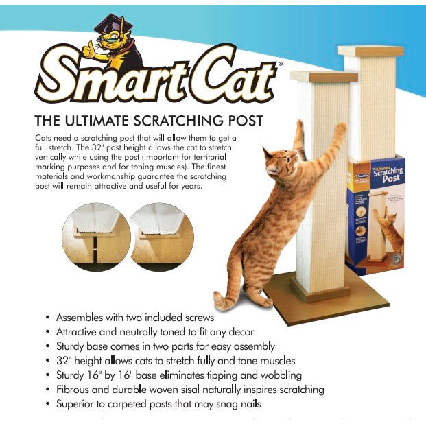 Pioneer Pet Ultimate Scratching Post Natural - Main Image
