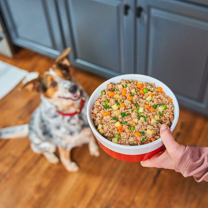 Stella and Chewy's Frozen Freshmade Beefy-licious 16oz
