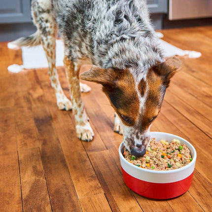Stella and Chewy's Frozen Freshmade Beefy-licious 16oz