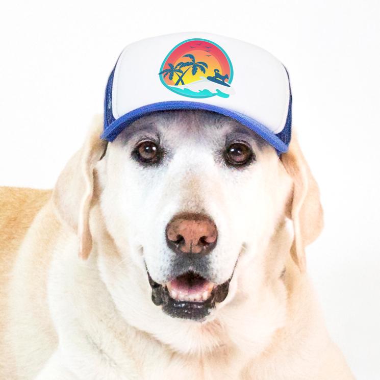 Pup Lid Surfer Dog - Blue