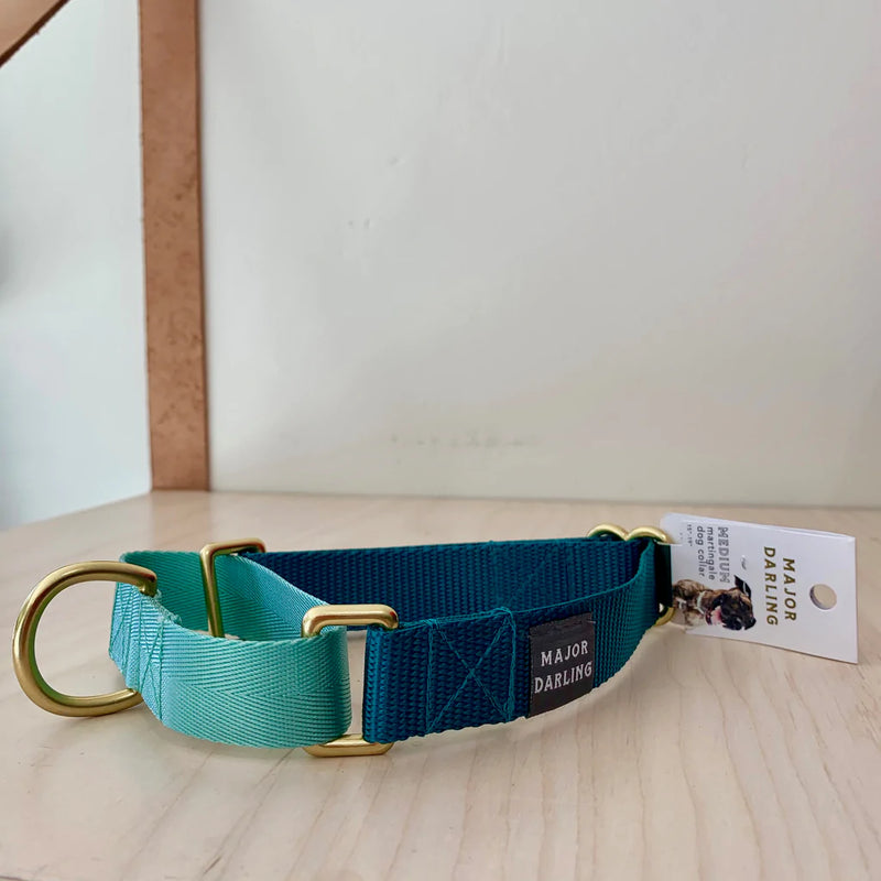 Major Darling Martingale Collar Teal with Bluebell