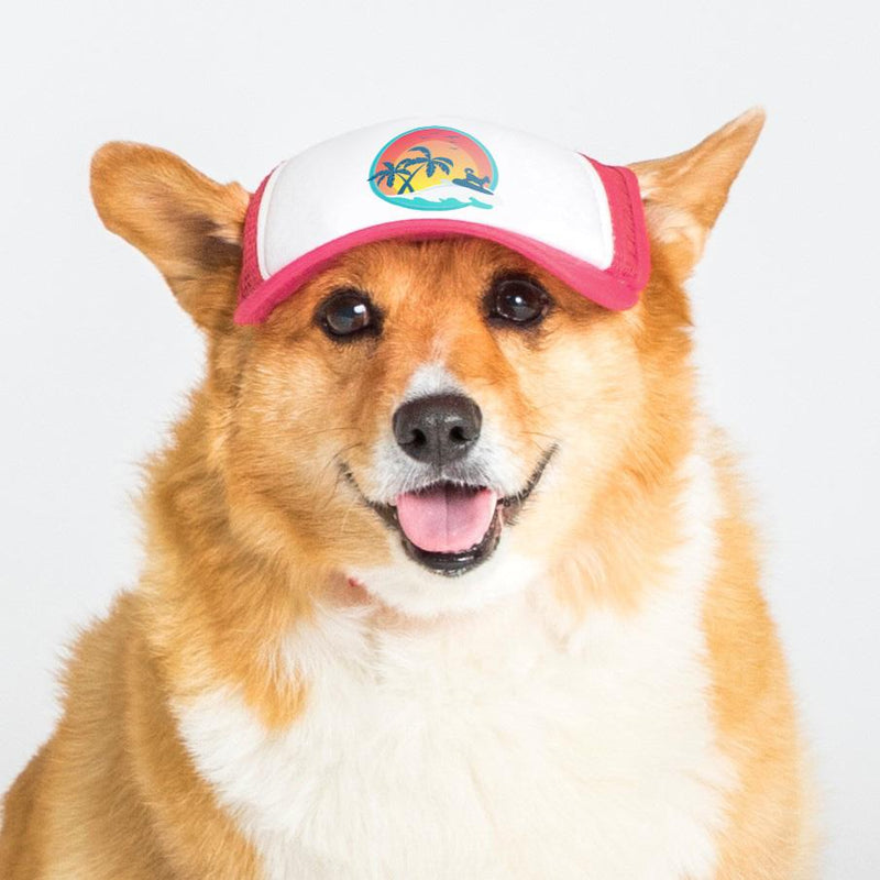 Pup Lid Surfer Dog - Pink