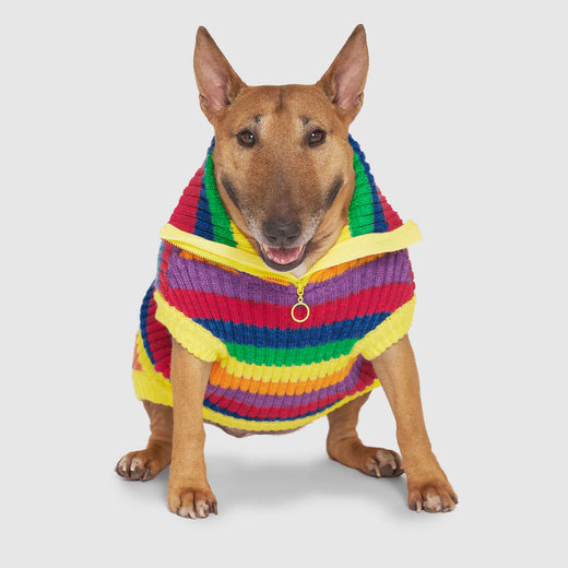 Canada Pooch Over the Rainbow Sweater