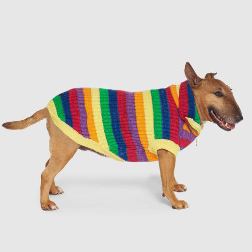 Canada Pooch Over the Rainbow Sweater