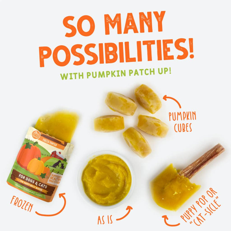 Weruva Pumpkin Patch Up