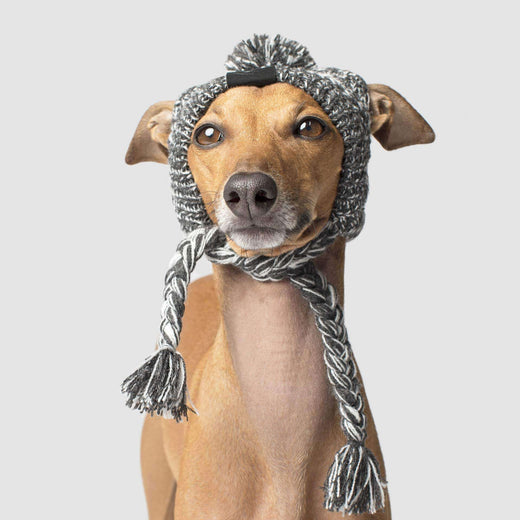 Canada Pooch Pom Pom Hat Grey