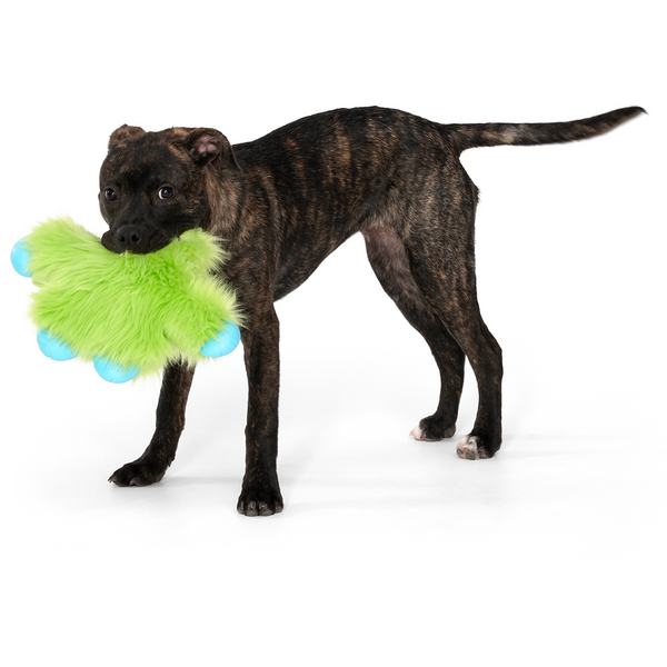West Paw Rowdies Play Toy Ruby - Lime