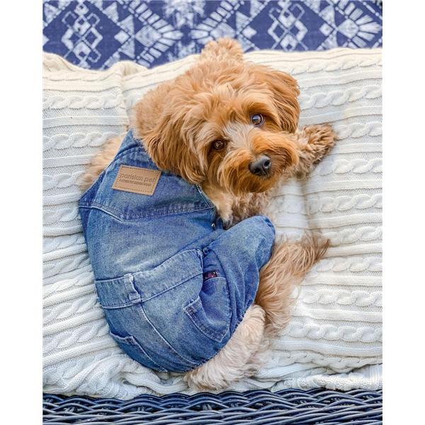 Parisian Pet Denim Overalls