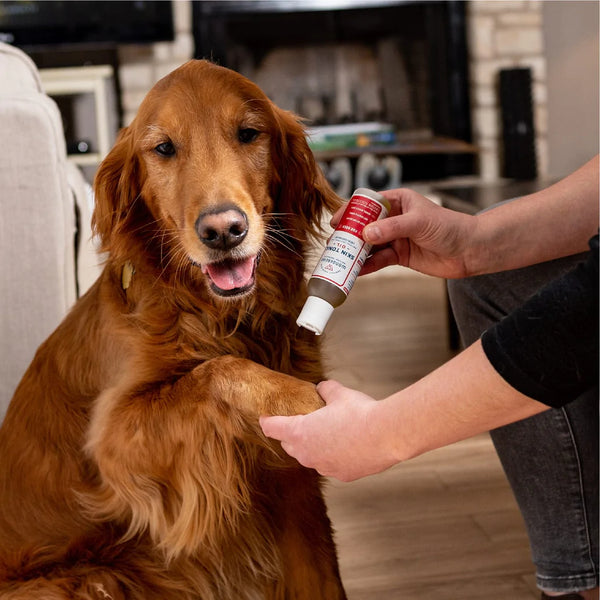 Wondercide Skin Tonic Topical Oil for Dogs
