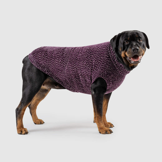 Canada Pooch Soho Sweater - Magenta