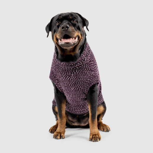 Canada Pooch Soho Sweater - Magenta