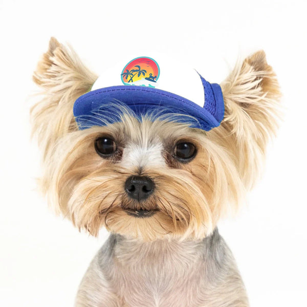 Pup Lid Surfer Dog - Blue SAN DIEGO
