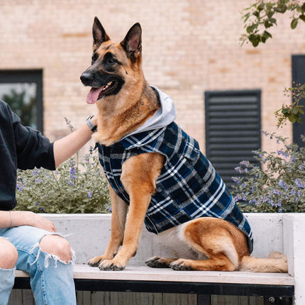 Canada Pooch Blue Plaid Shacket