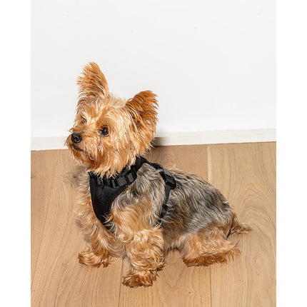 Wild One Harness - Black