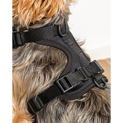 Wild One Harness - Black
