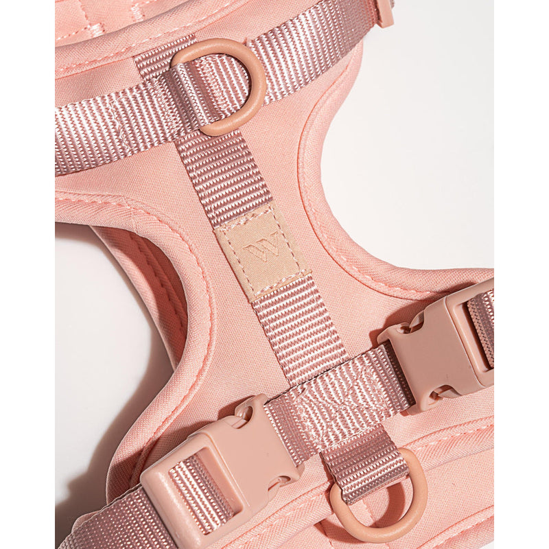 Wild One Harness - Blush