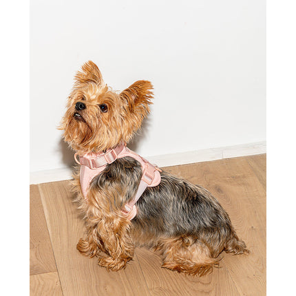 Wild One Harness - Blush