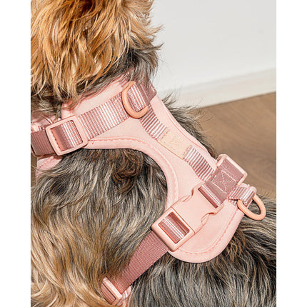Wild One Harness - Blush