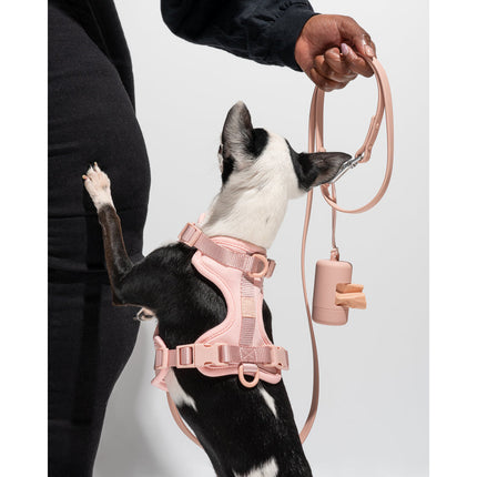 Wild One Harness - Blush