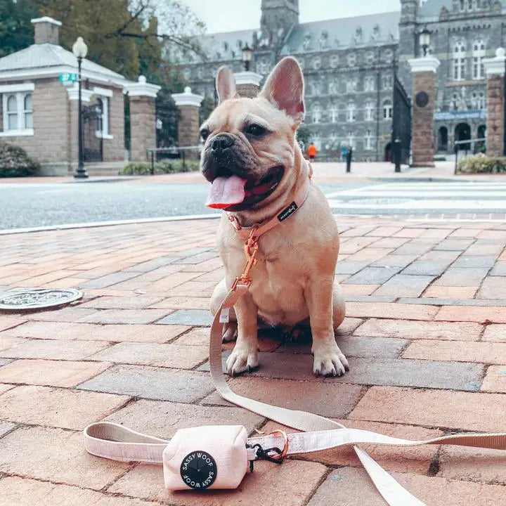 Sassy Woof Bag Holder - Pinot