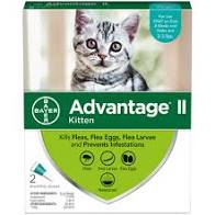 Advantage 2 kitten 2-5lb 2 pack