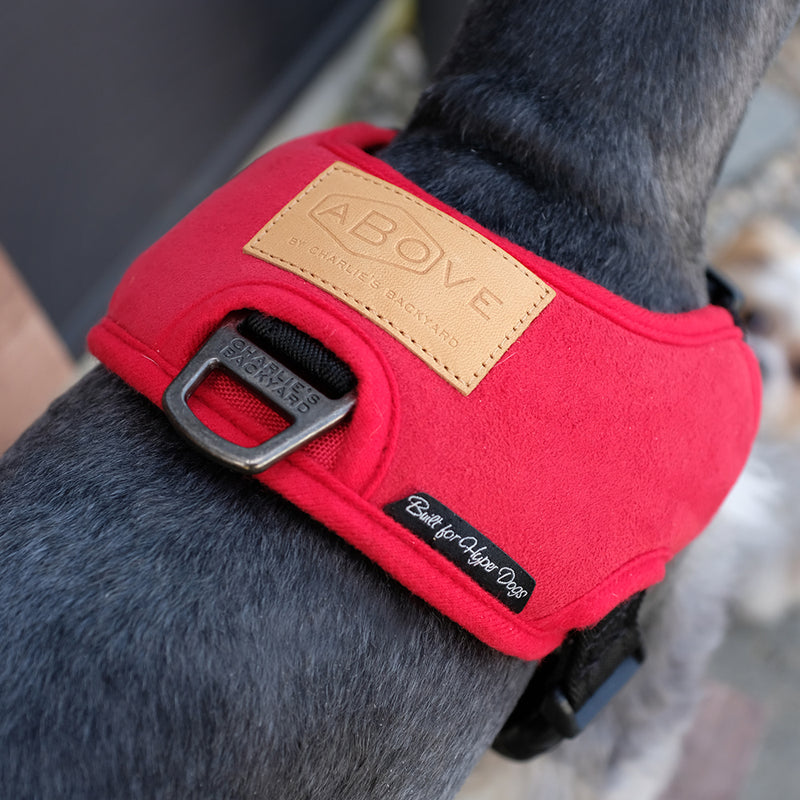 Charlie's backyard easy harness hotsell