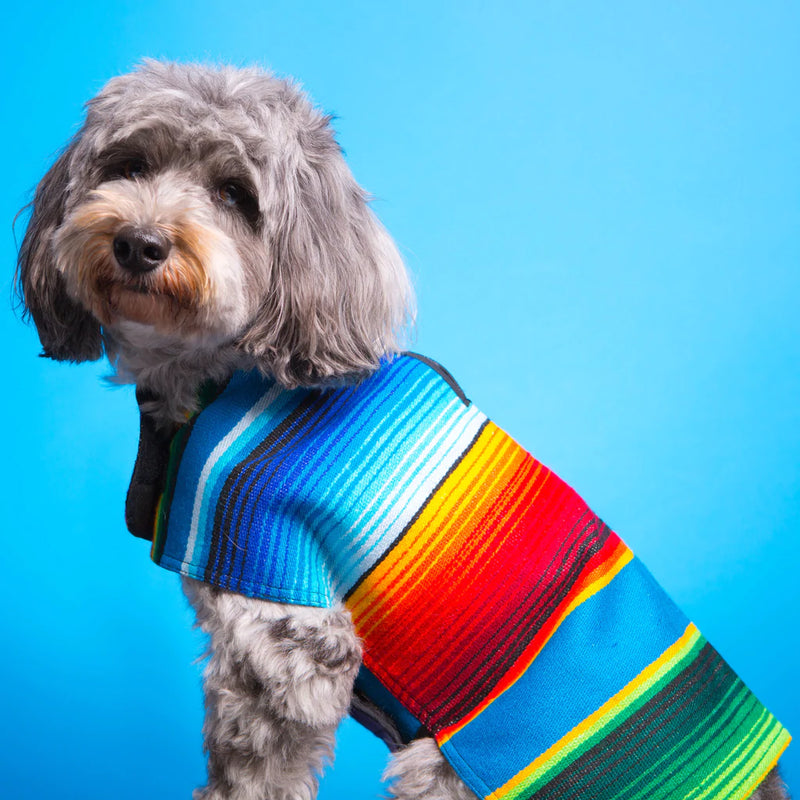 Baja Ponchos - Blue Dog Poncho From Mexican Serape Blanket