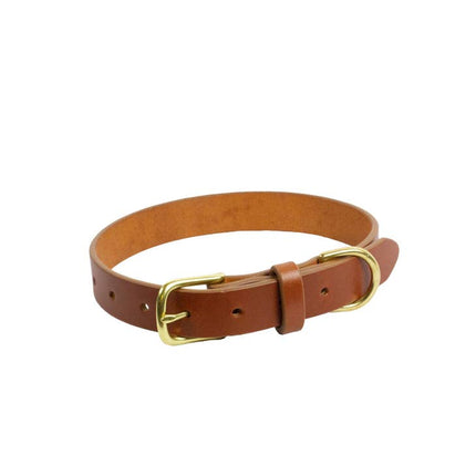 Dante Collar - Whiskey & Brass