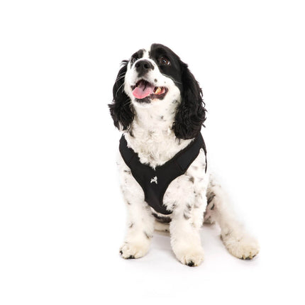 Gooby Easy Fit Harness Black