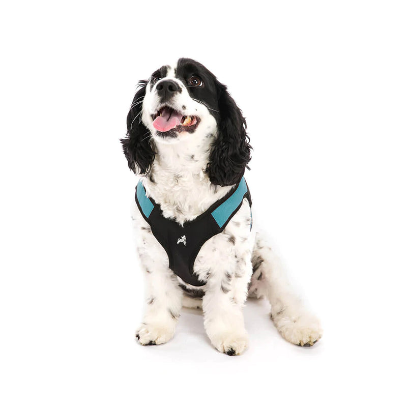 Gooby Easy Fit Harness Turquoise