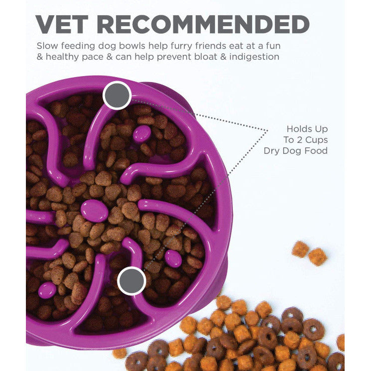 Outward Hound Fun Feeder Purple