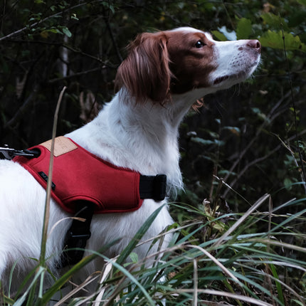 Charlie's Backyard Above Harness Red