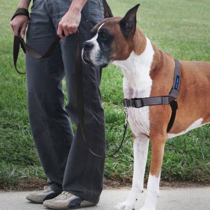Easy Walk Deluxe Harness - Steel
