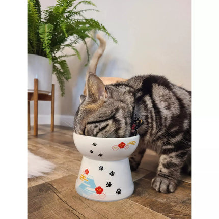Necoichi Raised Cat Bowl - Fuji