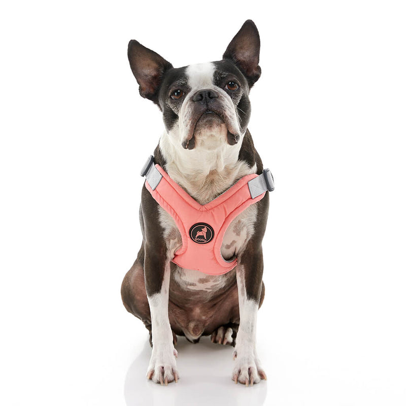 Gooby step deals in harness