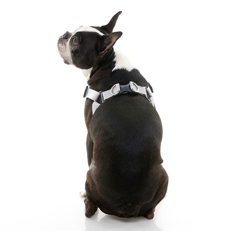 Gooby Memory Foam Step-In Harness Turquoise